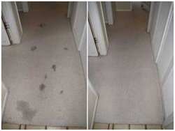 Limpeza de carpete residencial