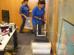 Limpeza de Carpetes Higienização